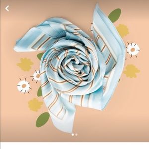 Cleobella Blue Striped Scarf from Causebox